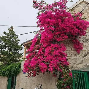 Franicevic , Split Croatia
